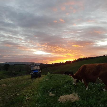 Above The River Karapiro Bed & Breakfast ภายนอก รูปภาพ