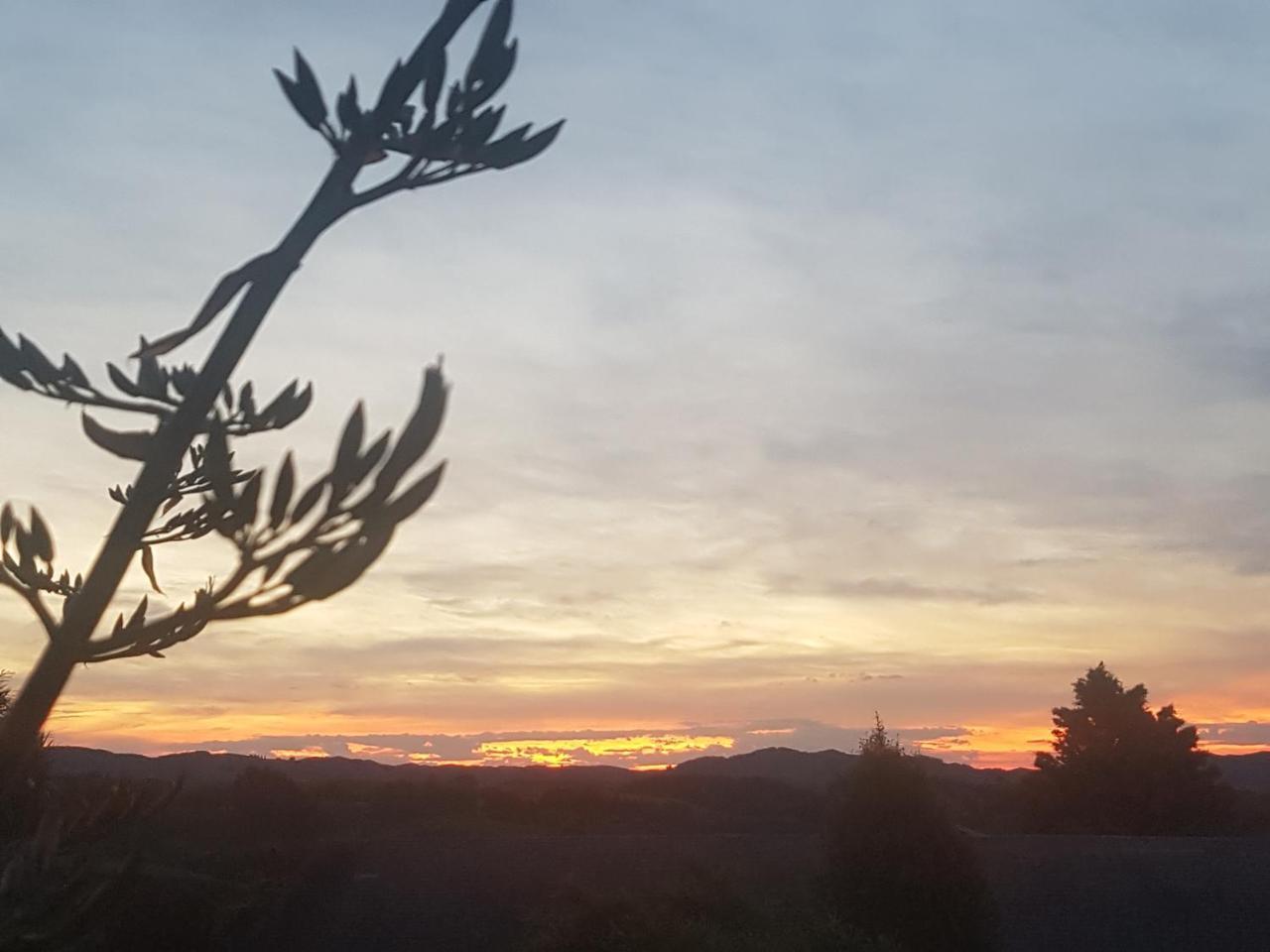 Above The River Karapiro Bed & Breakfast ภายนอก รูปภาพ